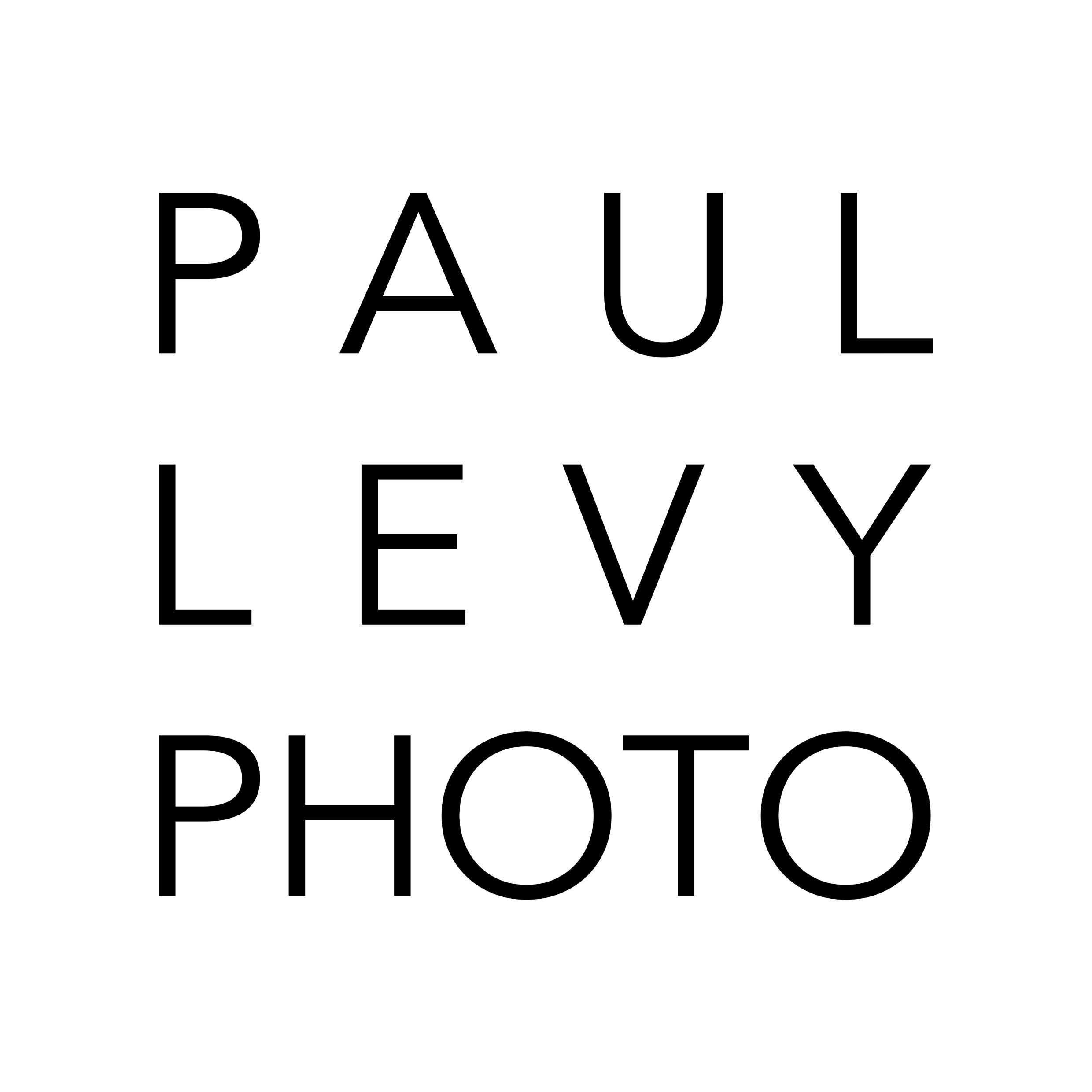 Paul Levy Photo