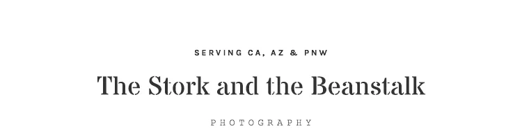 The Stork and the Beanstalk Photography