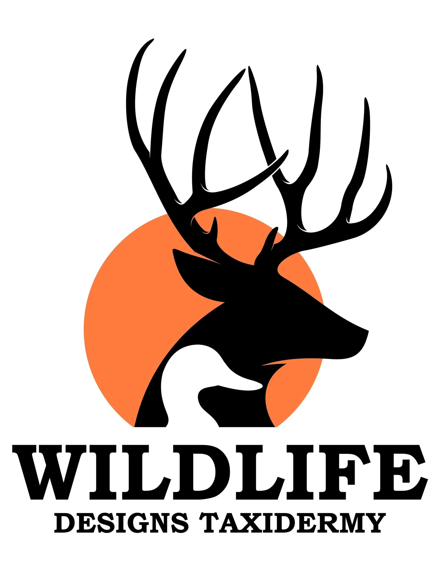 Wildlife Designs Taxidermy