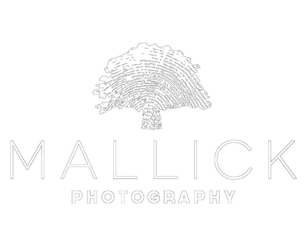 Mallick Photography