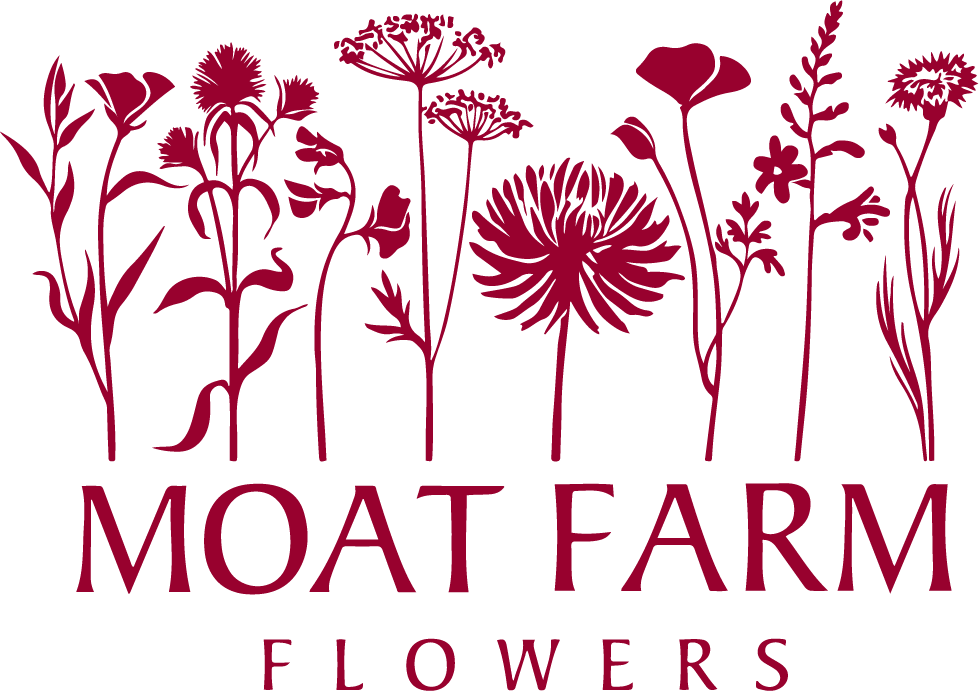 Moat Farm Flowers: a flower farm in Suffolk