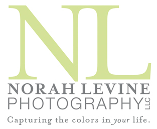 Fine Artist, Pet and Family Photographer, Author, Educator