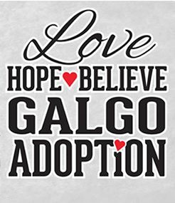Love, Hope, Believe Galgo Adoption Inc