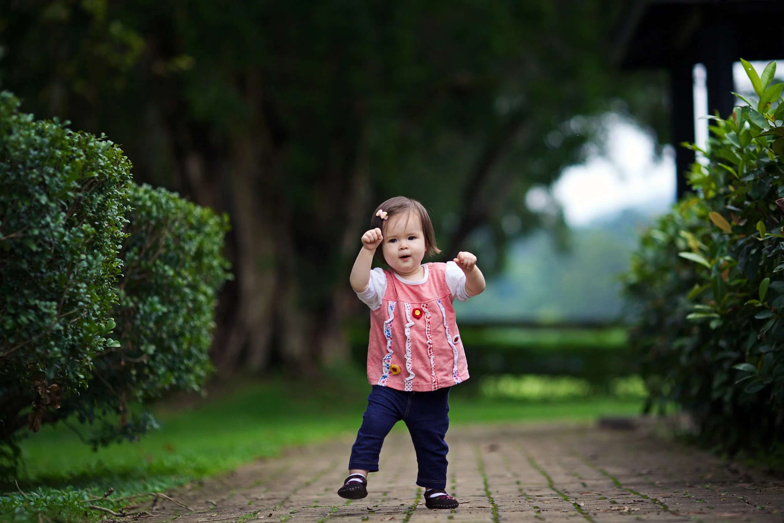 Canon 135mm f2 Flickr