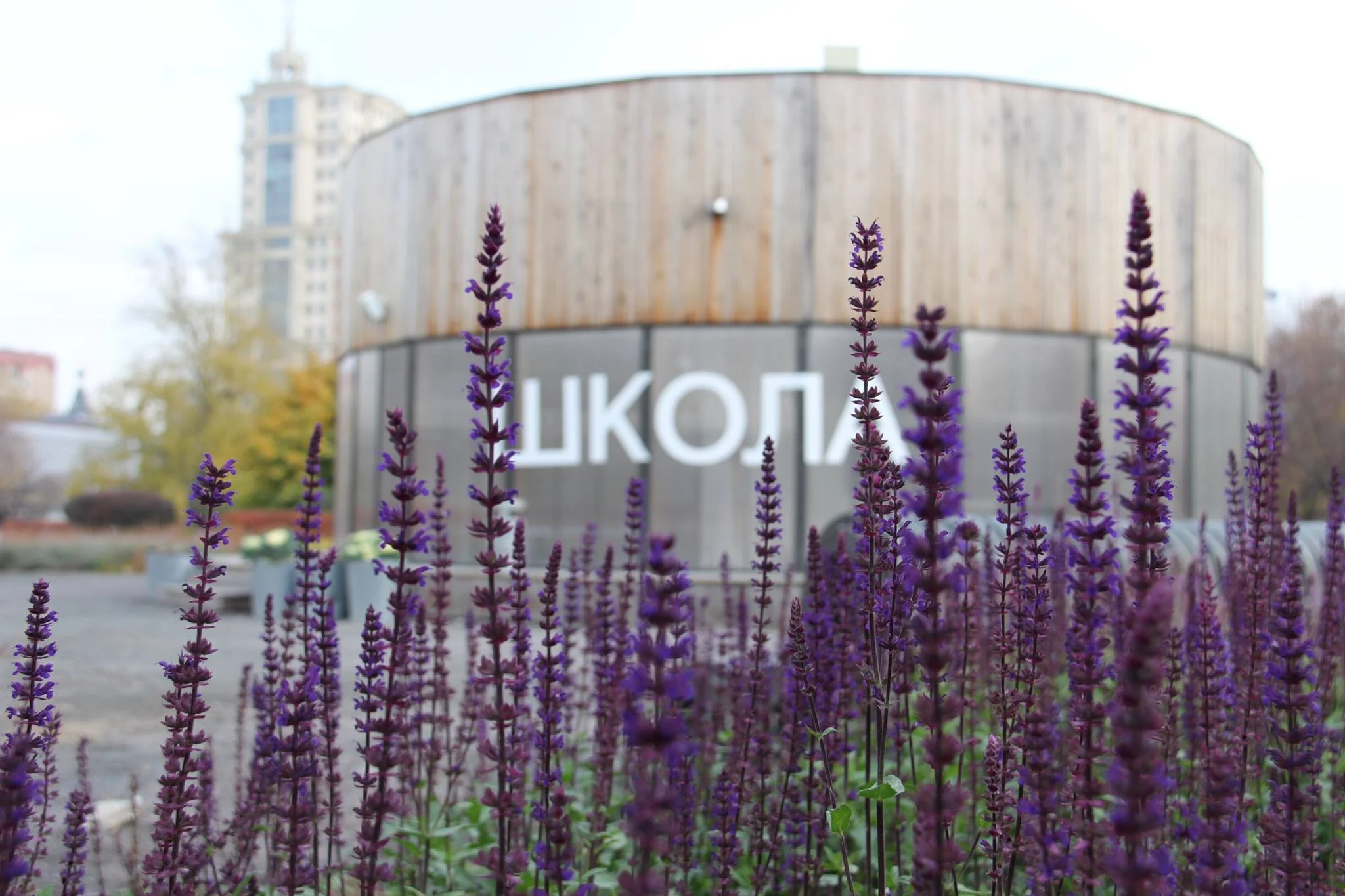  Цветники у павильона "Школа"  Заказчик: Мосгорпарк 