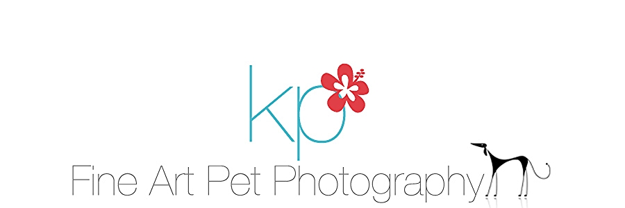 Karen Presecan Photography | Stafford, VA | Coastal NC | Pet and Family Photographer