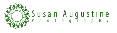 Susan Augustine Photography