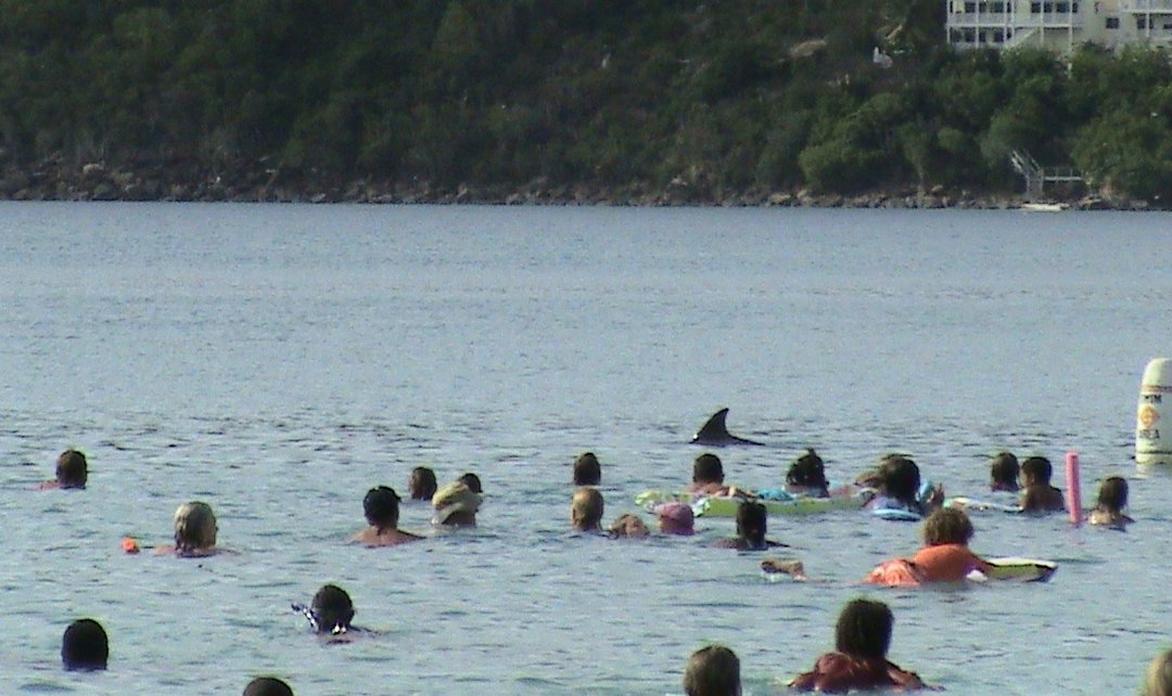 PTA. Beach Picnic.