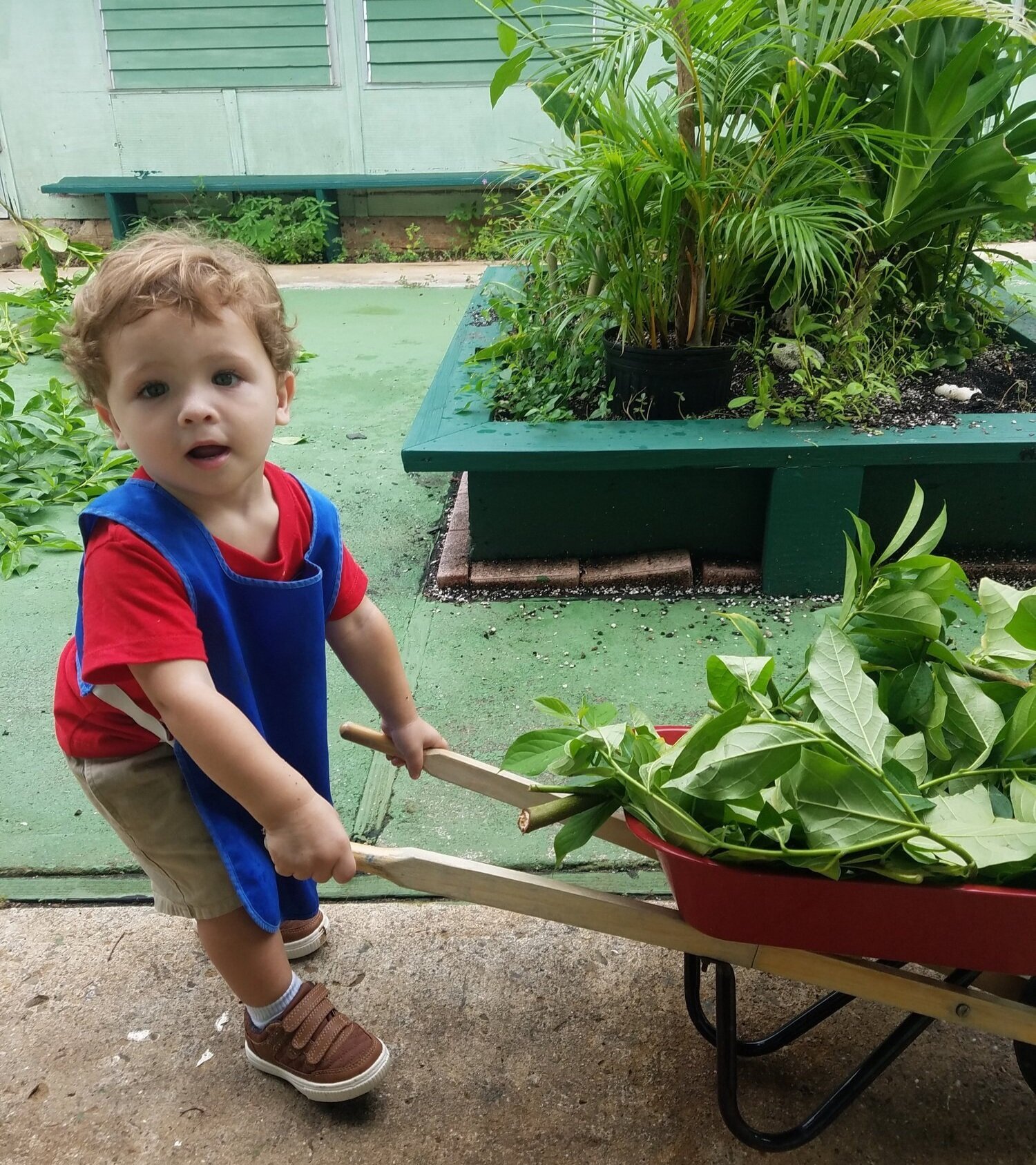 幼儿+ gardener.jpg.