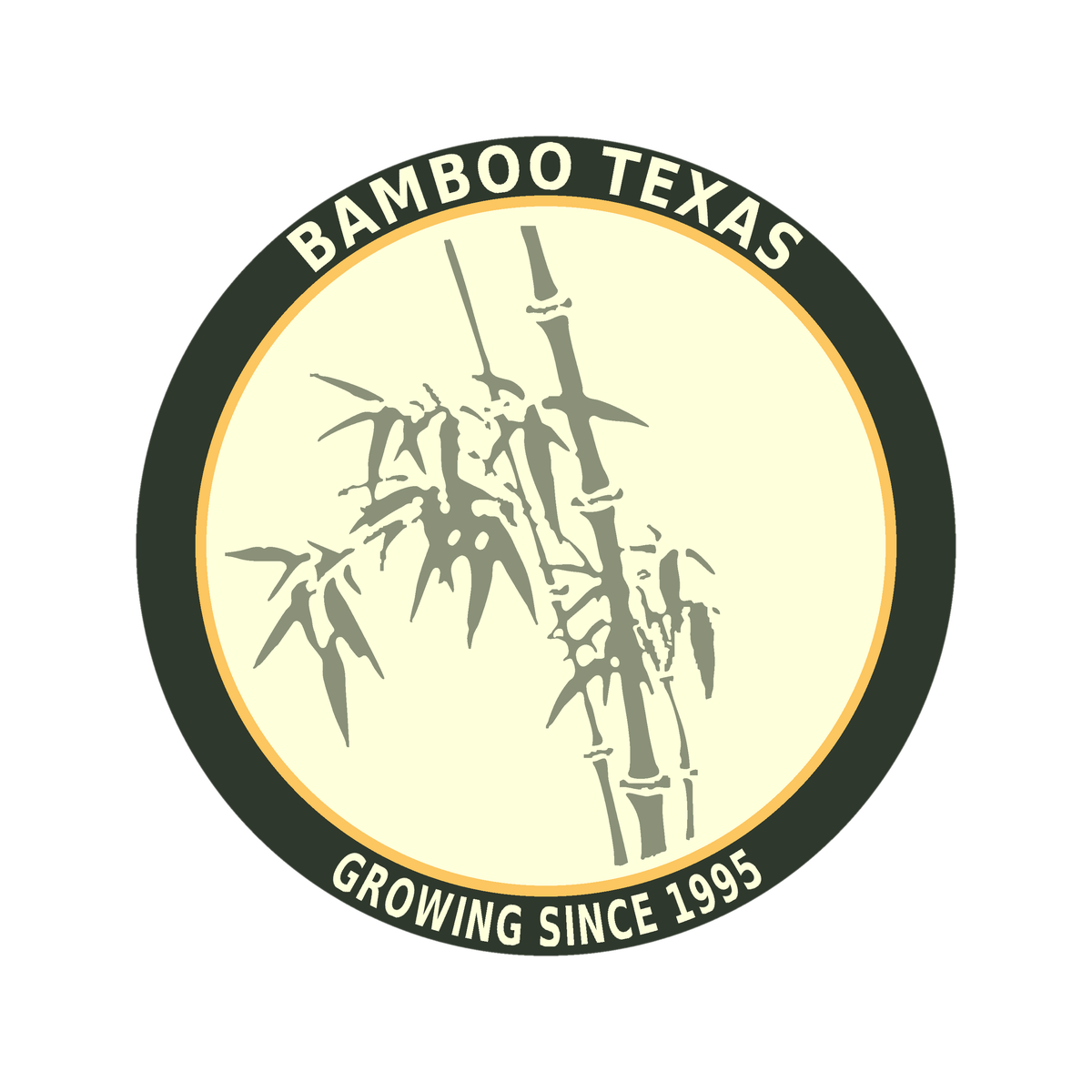 BAMBOOTEXAS.COM
