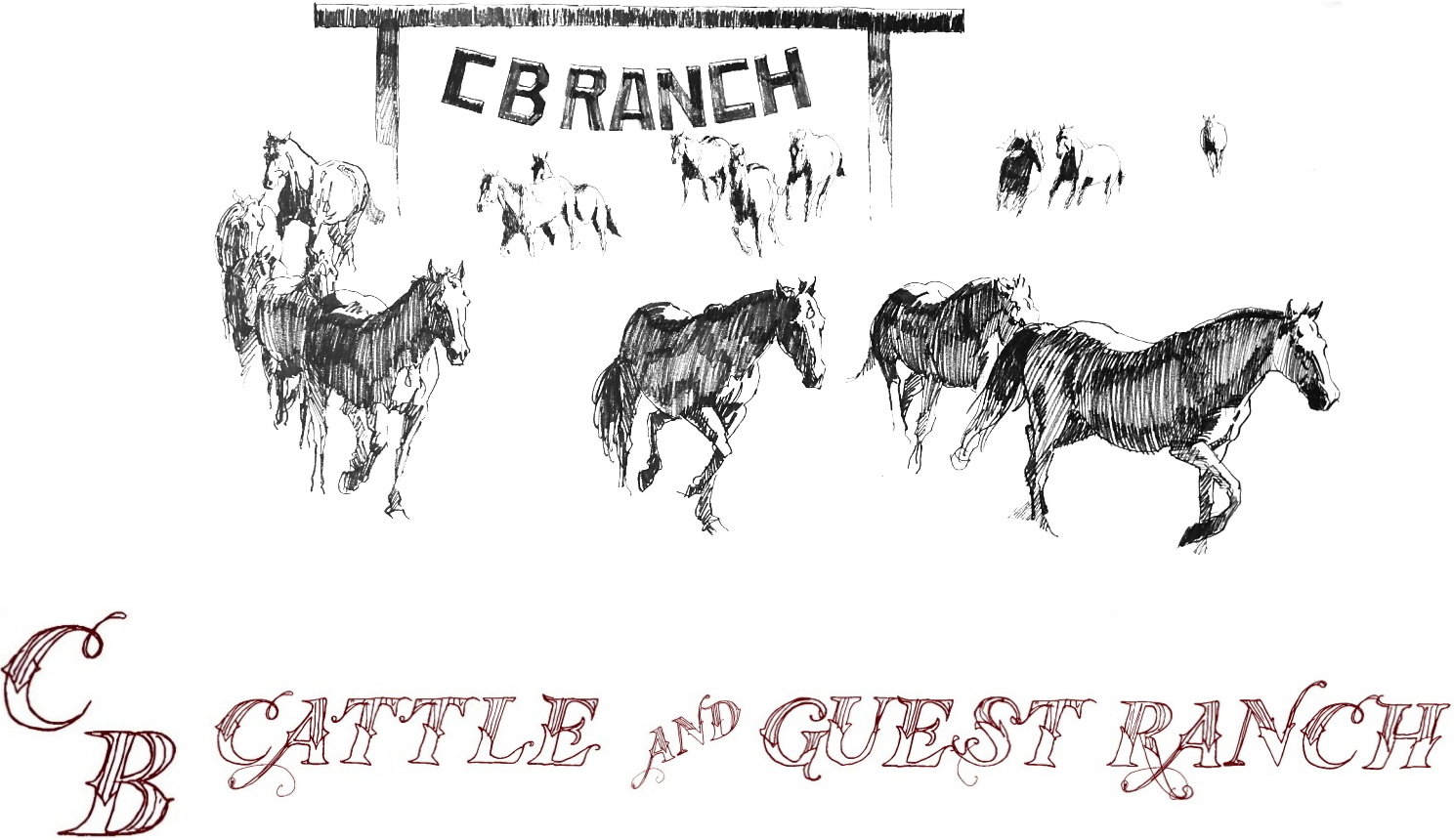 C B Cattle & Guest Ranch