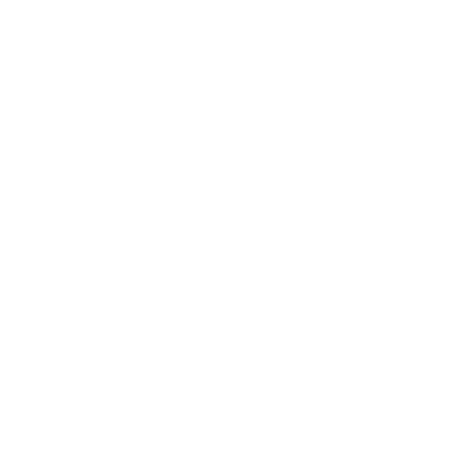 Nexus Mobile Dj