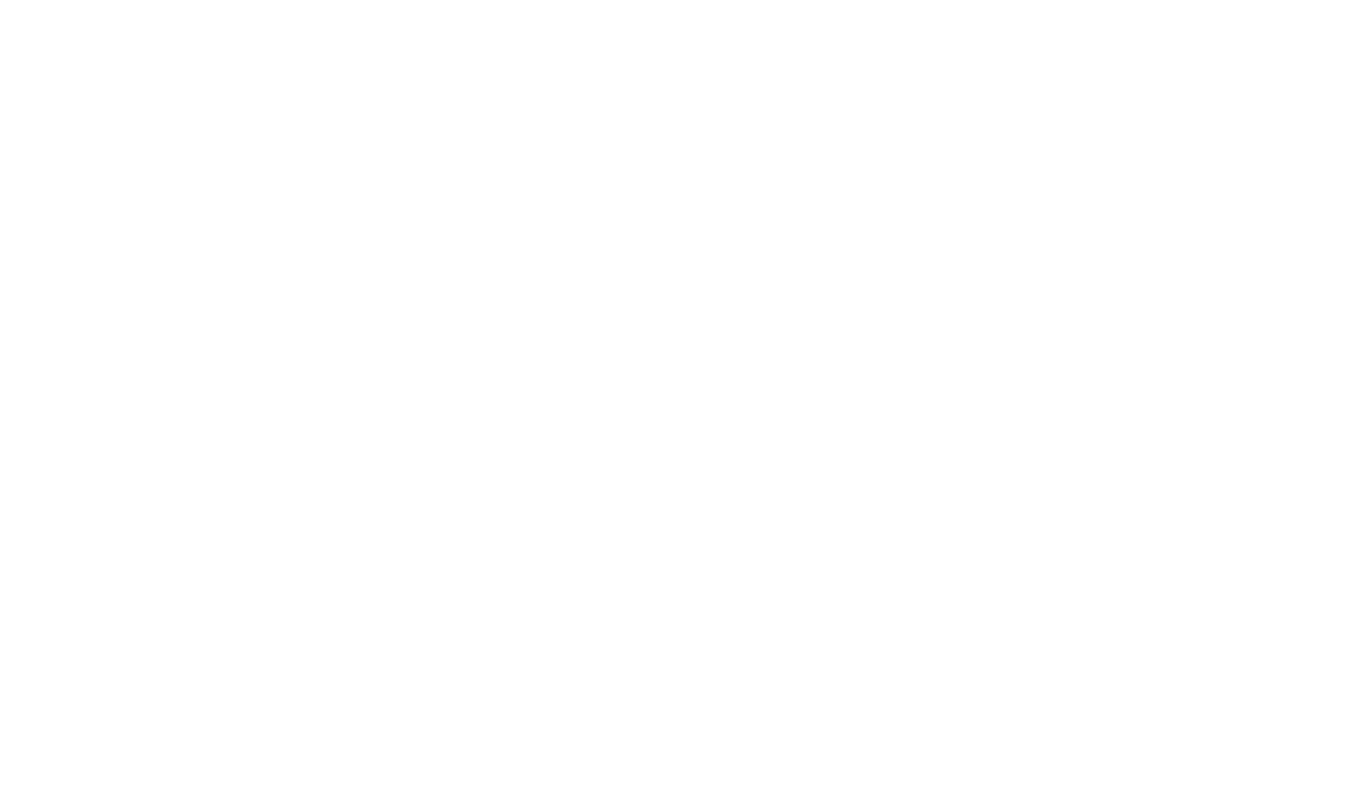 The Ruggeds