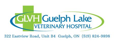 Guelph, ON Veterinarian | Guelph Lake Veterinary Hospital