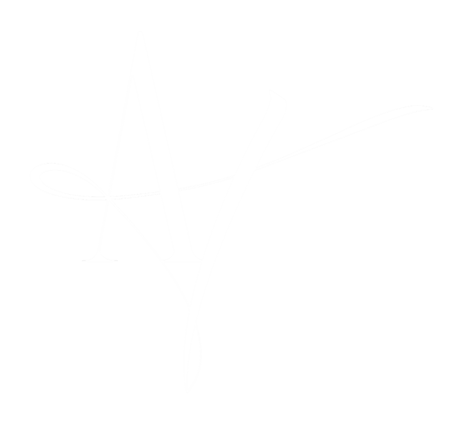 AY COLLECTION