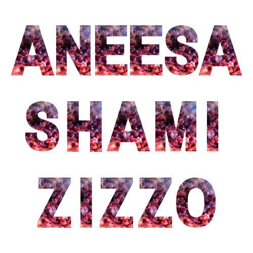 Aneesa Shami Zizzo