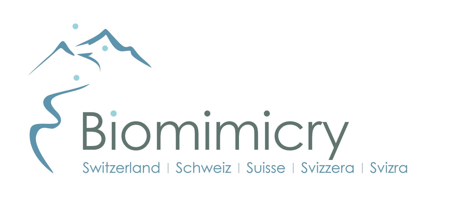 Biomimicry Switzerland