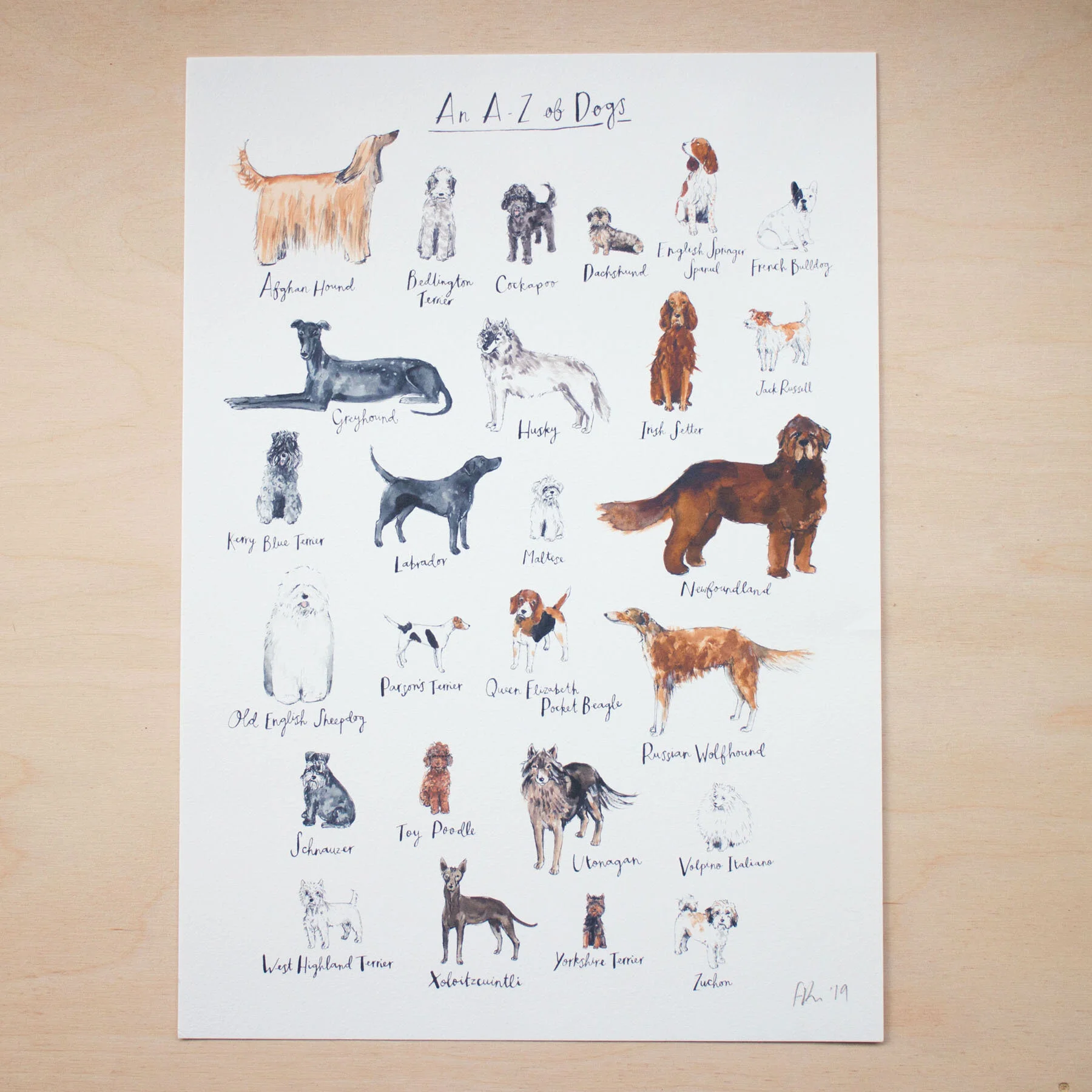 An A Z Of Dogs Art Print Fiona Purves An A Z Of Dogs Art Print Fiona Purves