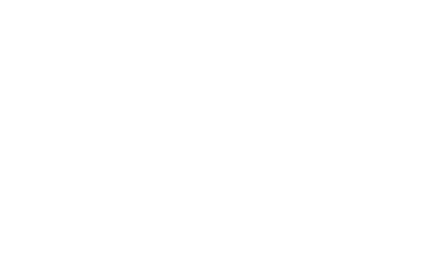 SOCIAL FISCH