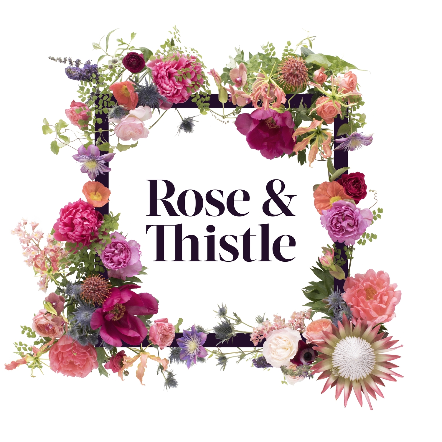 Rose & Thistle