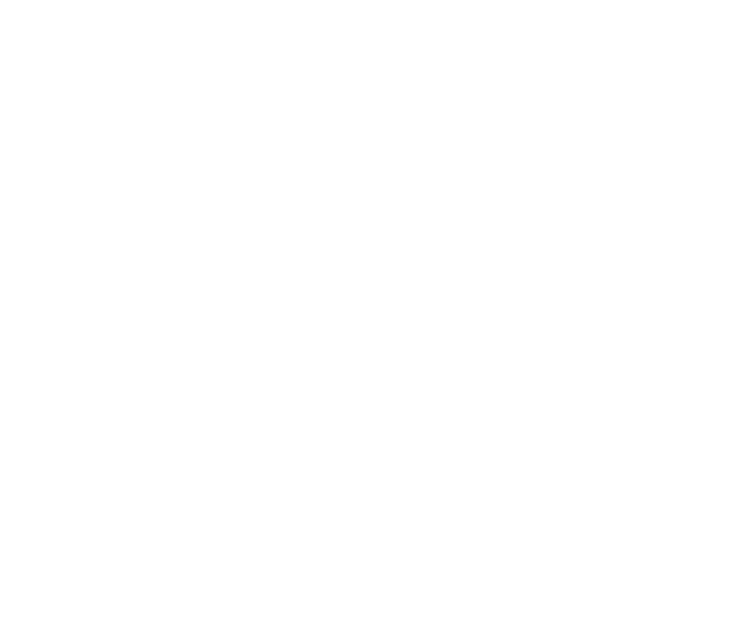 RARE MAKE