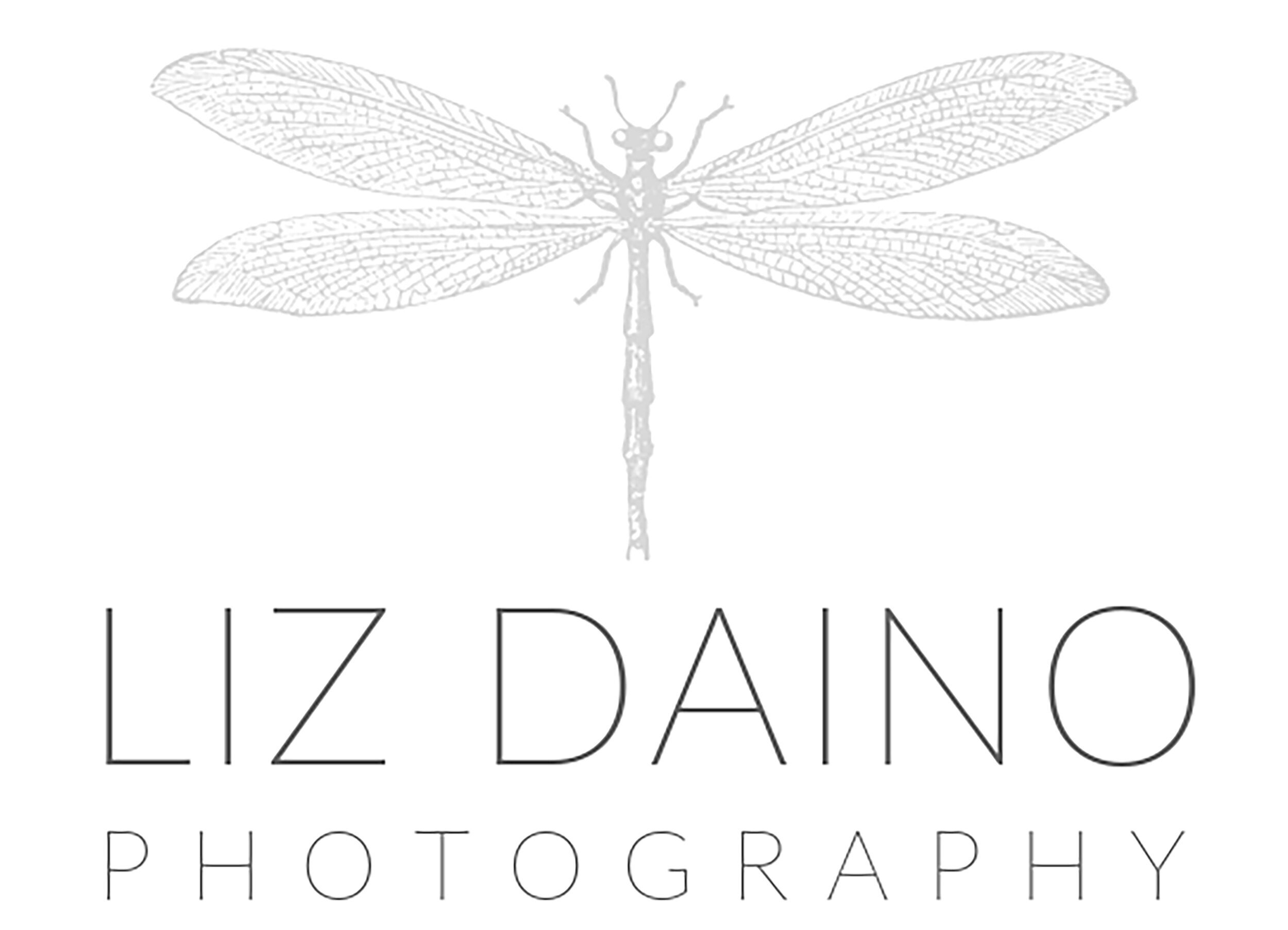 Liz Daino Photography