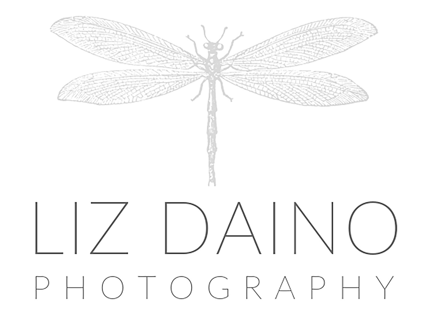 Liz Daino Photography