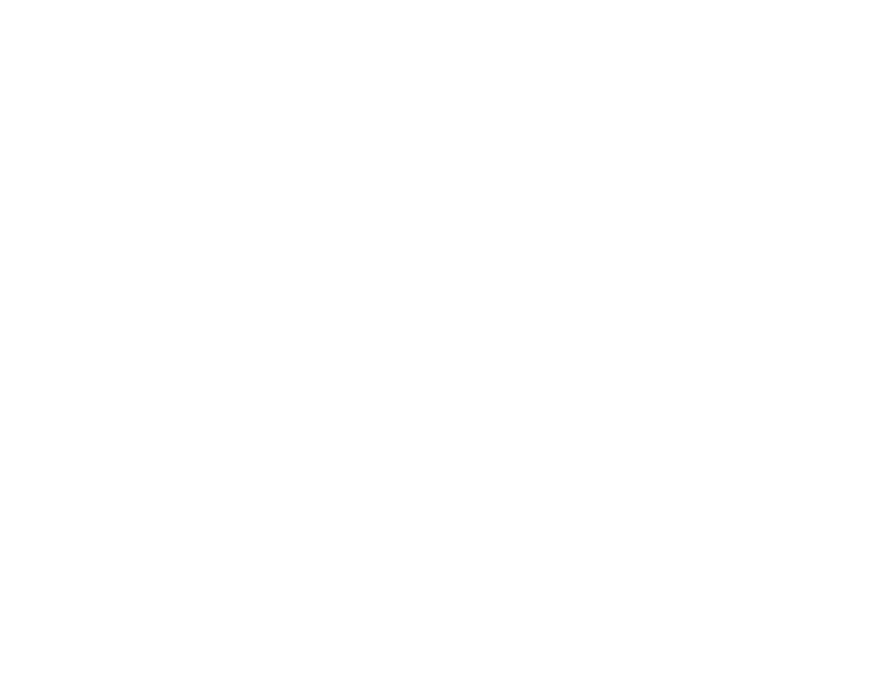 Lucia Renovation