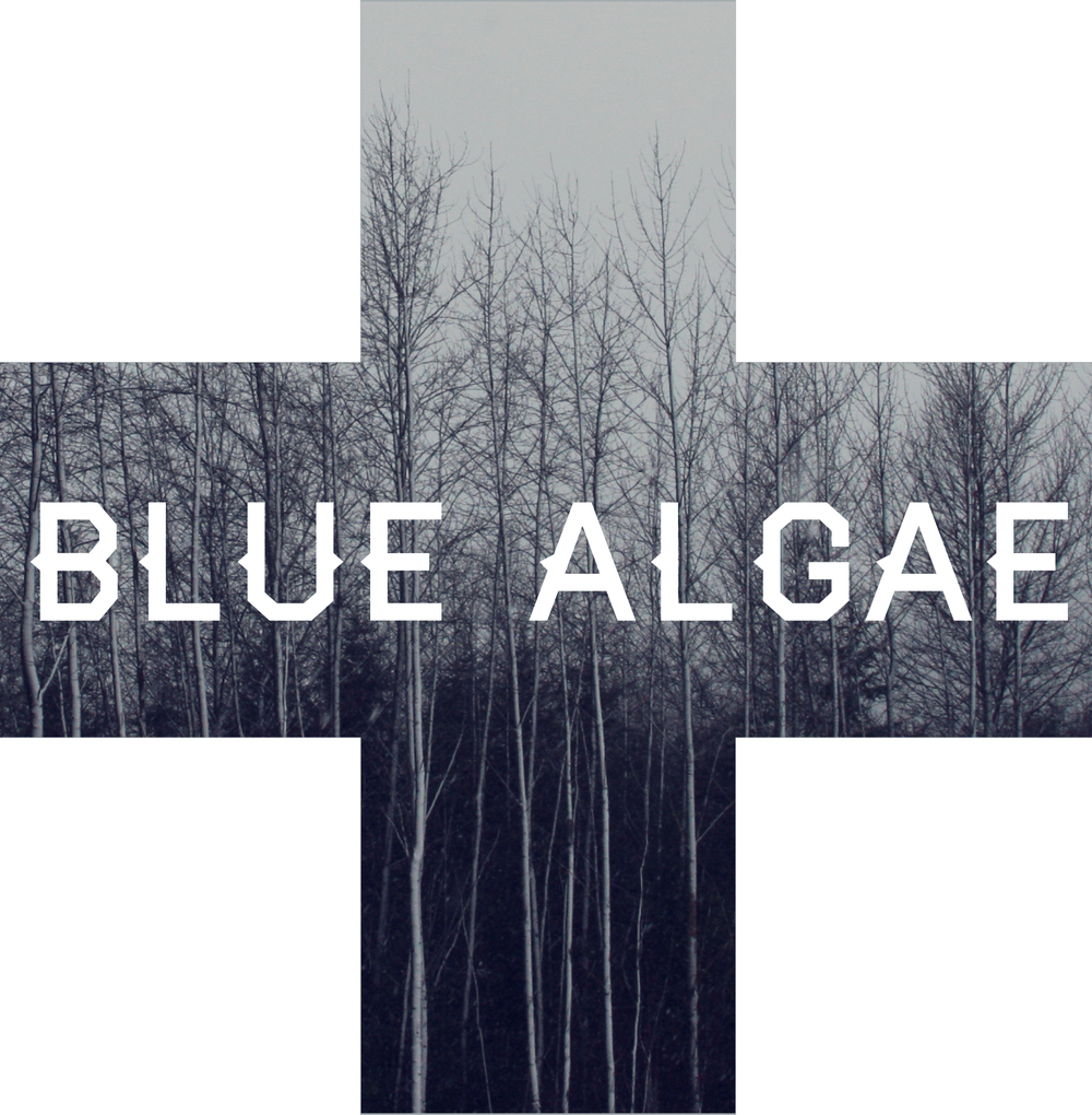 Blue Algae Creative