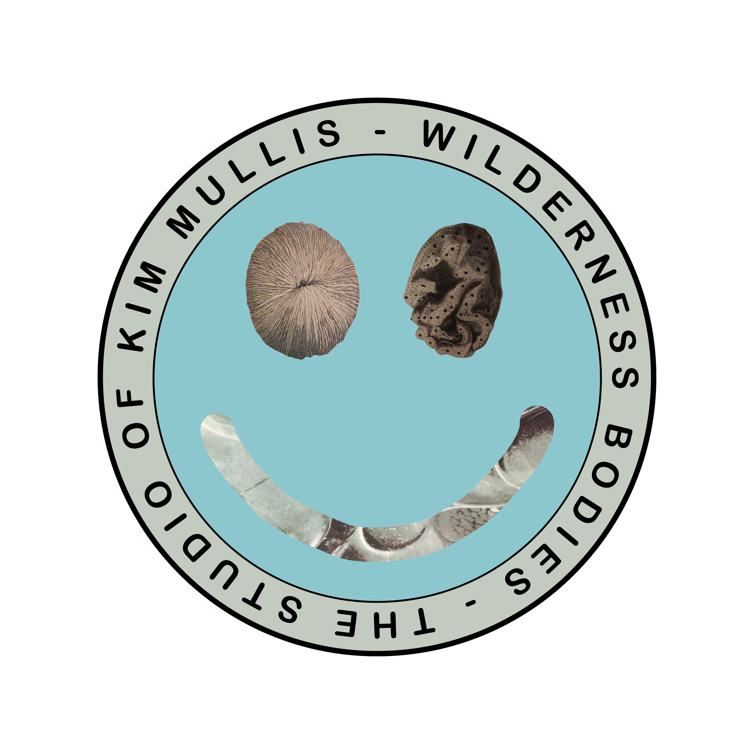 WILDBOD - THE STUDIO OF KIM MULLIS