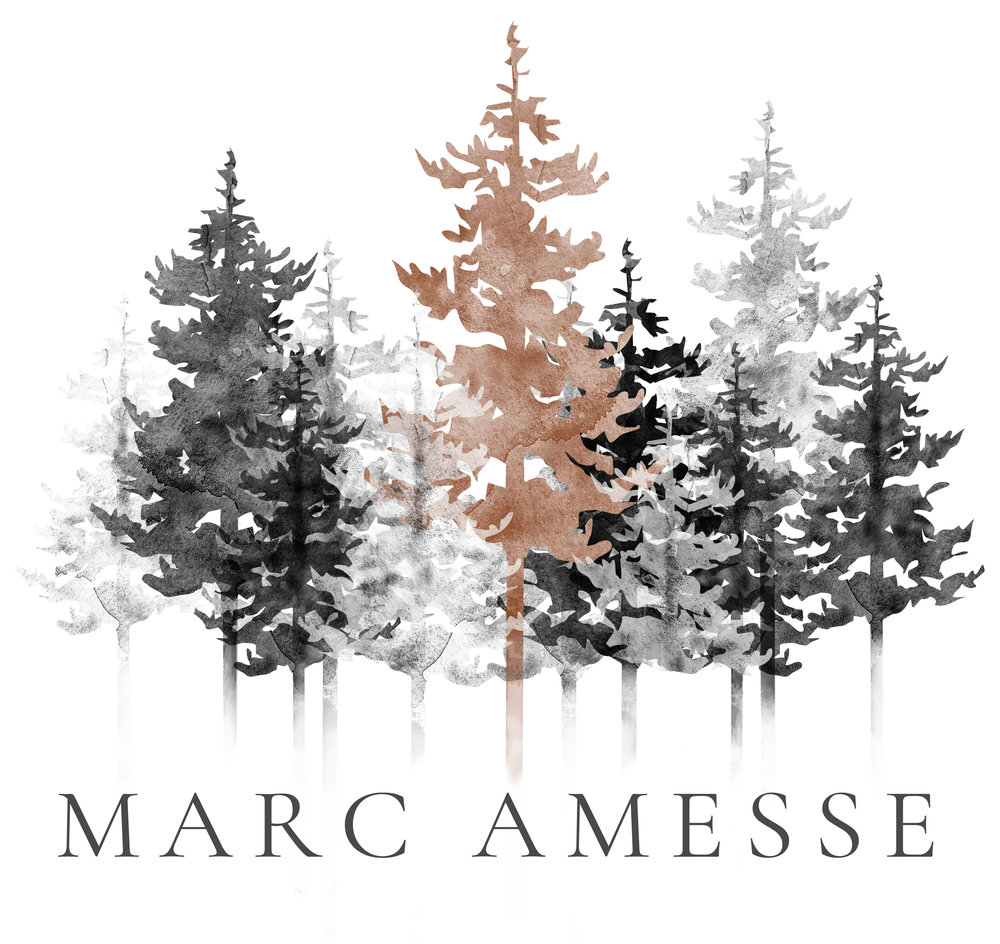 Marc Amesse Photography