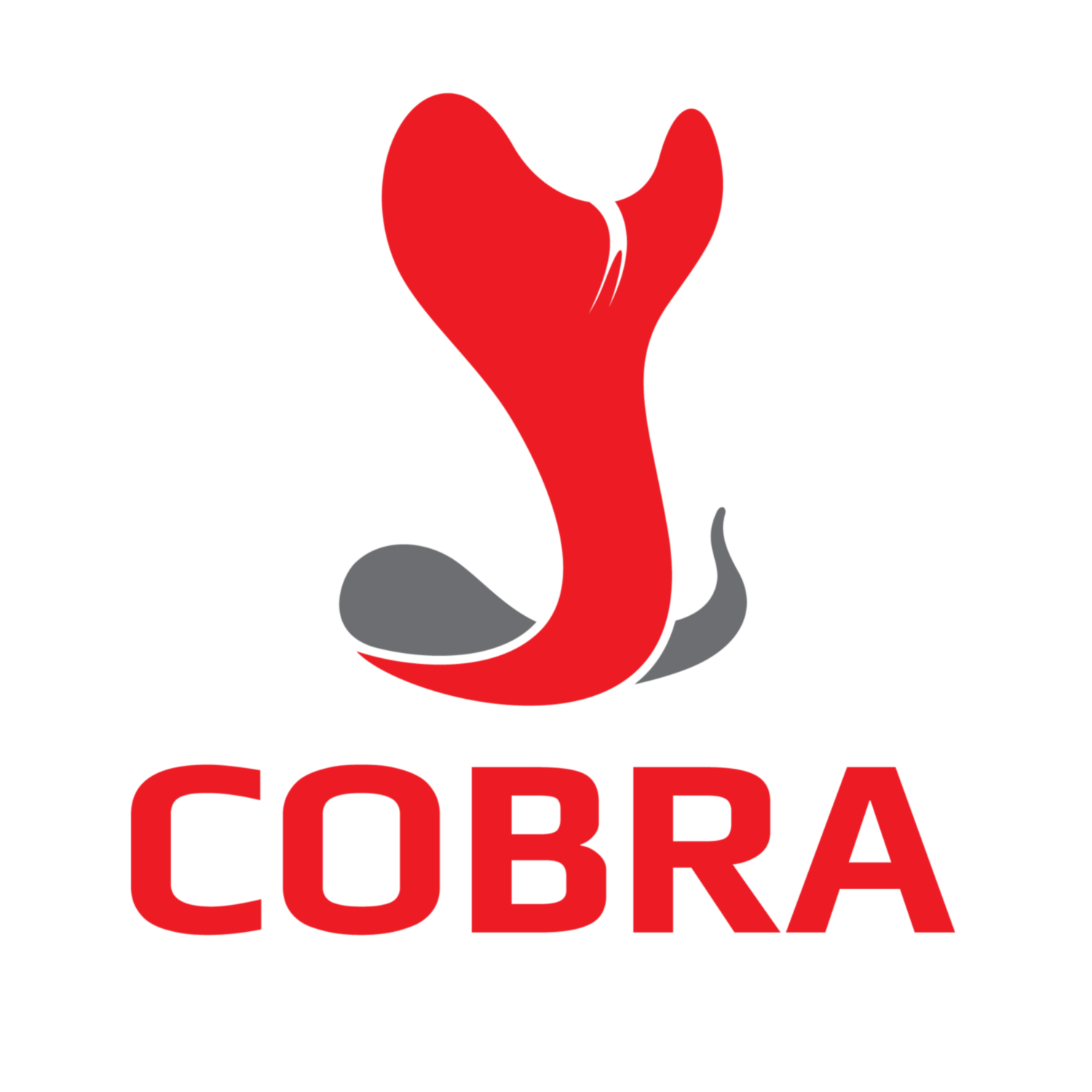 Cobra Clothing