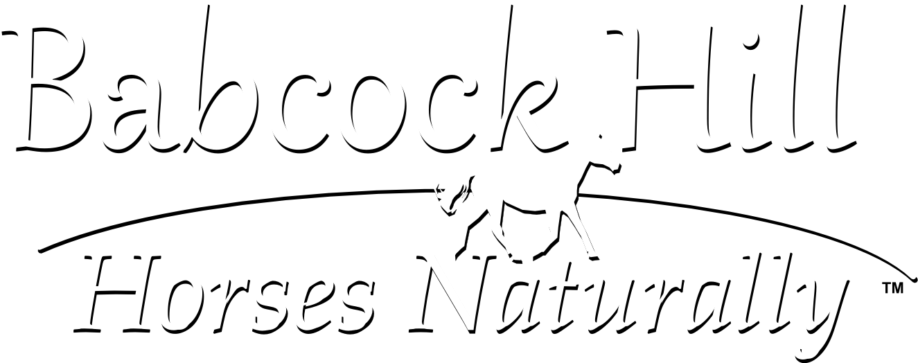 Babcock Hill Horses Naturally