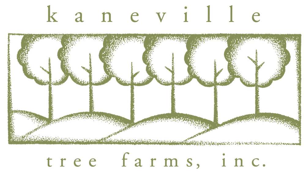 Kaneville Tree Farms