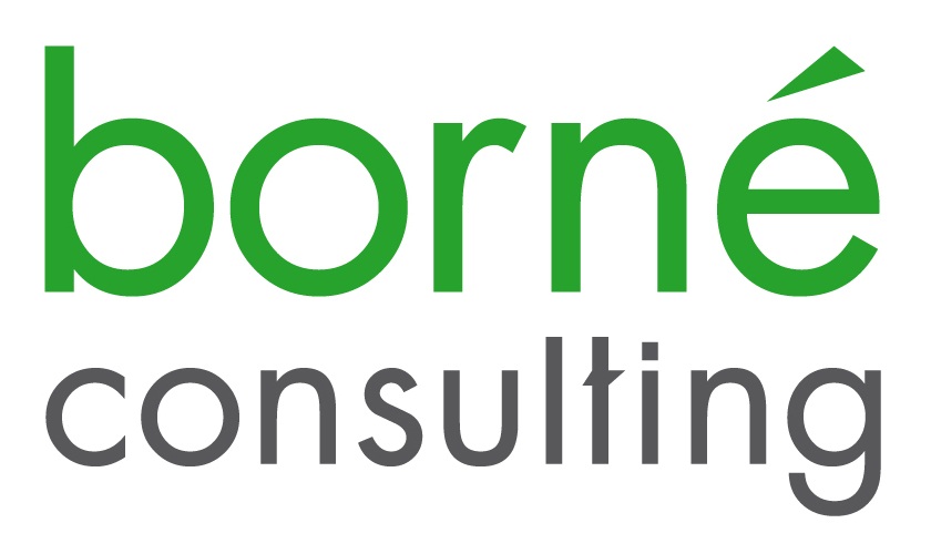 Borné Consulting + Borné IT Services = Friska Nätverk