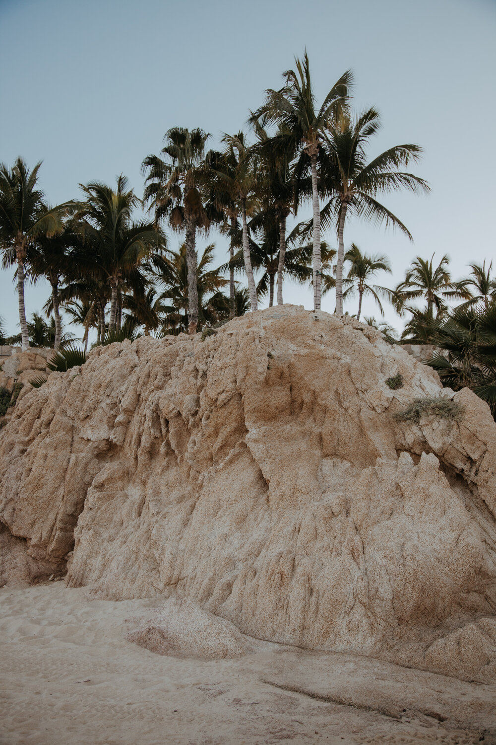 20191213-POwen-CJ-2574.jpg
