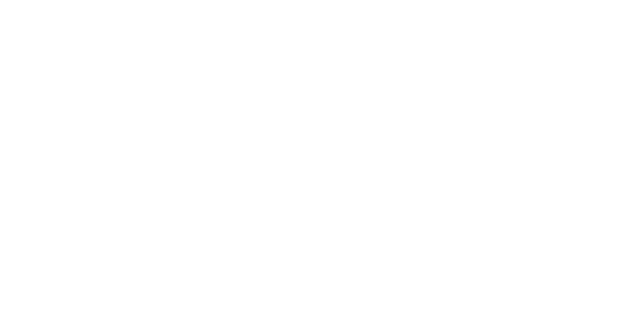 CHROME Visual Co.