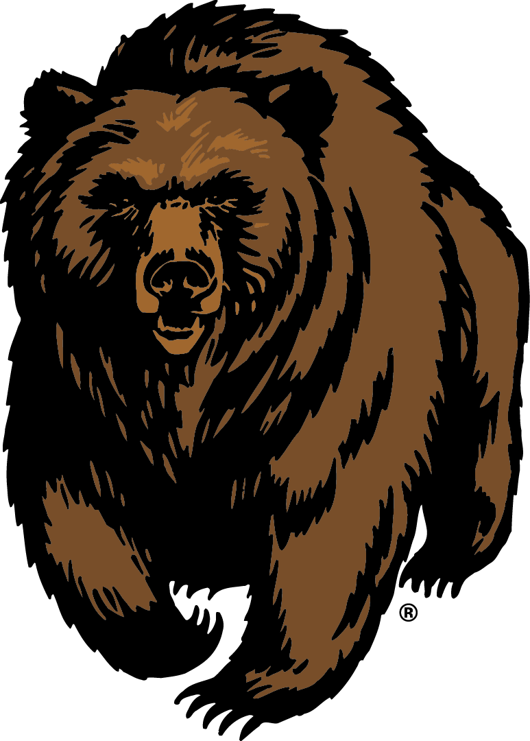 Montana Lacrosse