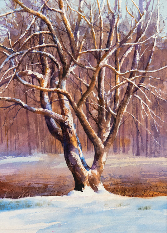 Winter Tree - watercolor by James Tennison — Rob Schouten Gallery &  Sculpture Garden