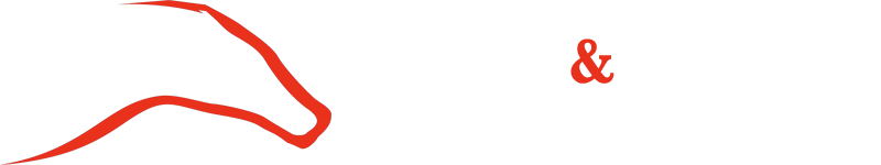 Colt & Steel
