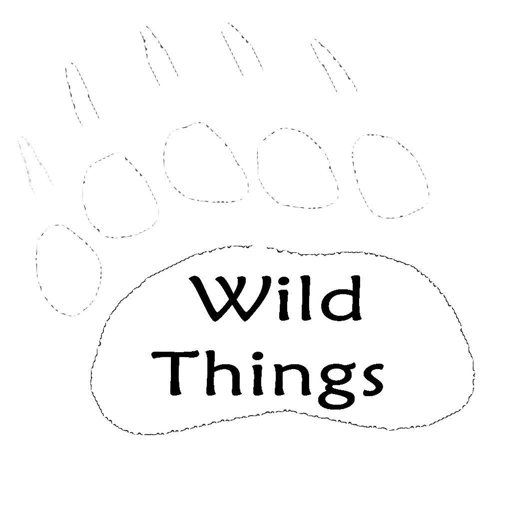 wild things of wyoming