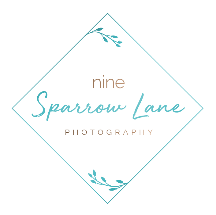 Nine Sparrow Lane