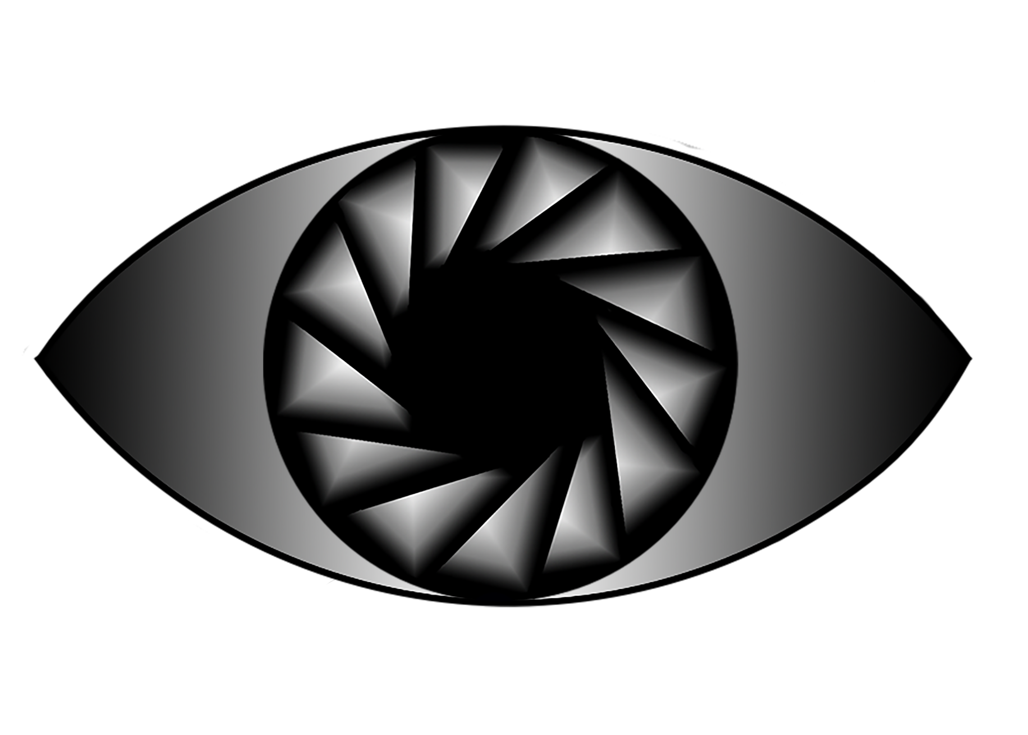 Steadi Eye Productions LLC
