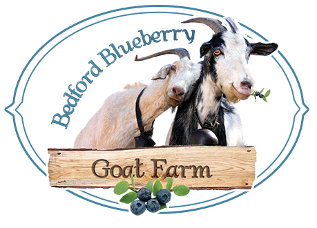 Bedford Blueberry Goat Farm - Grade A Goat Milk Goat Cheese