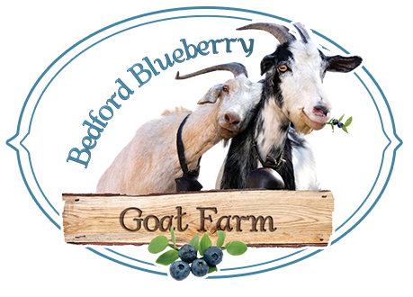 Bedford Blueberry Goat Farm - Grade A Goat Milk Goat Cheese