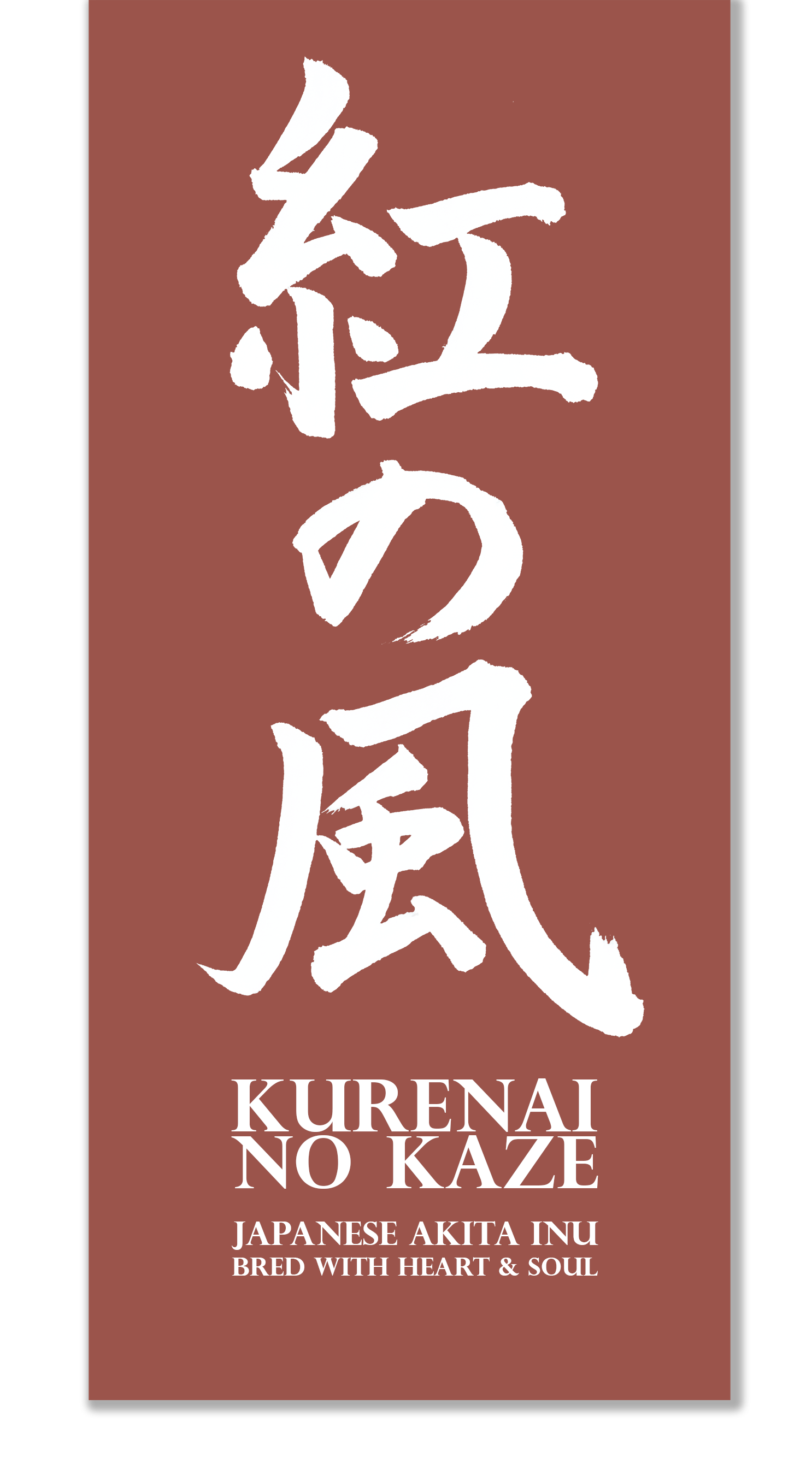 KURENAI NO KAZE — Japanese Akita Inu