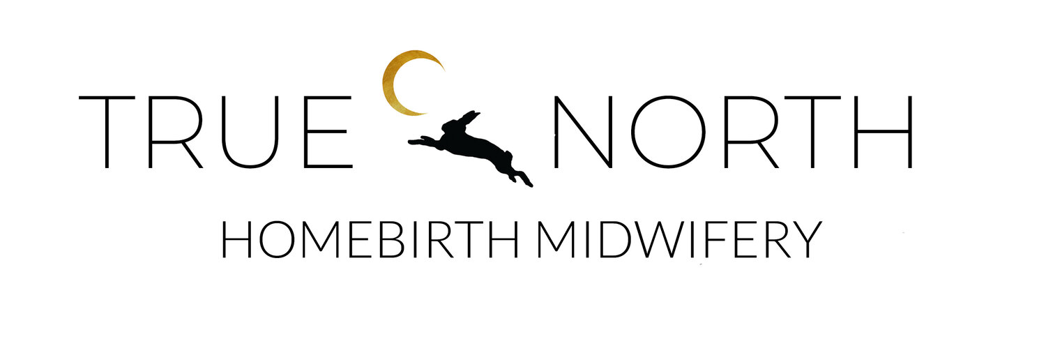 True North Homebirth Midwifery