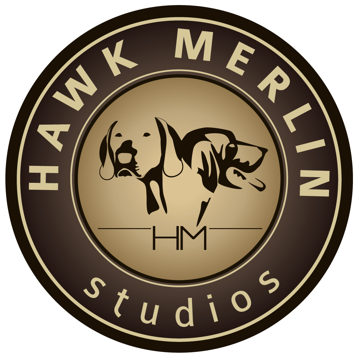 Hawk Merlin Studios