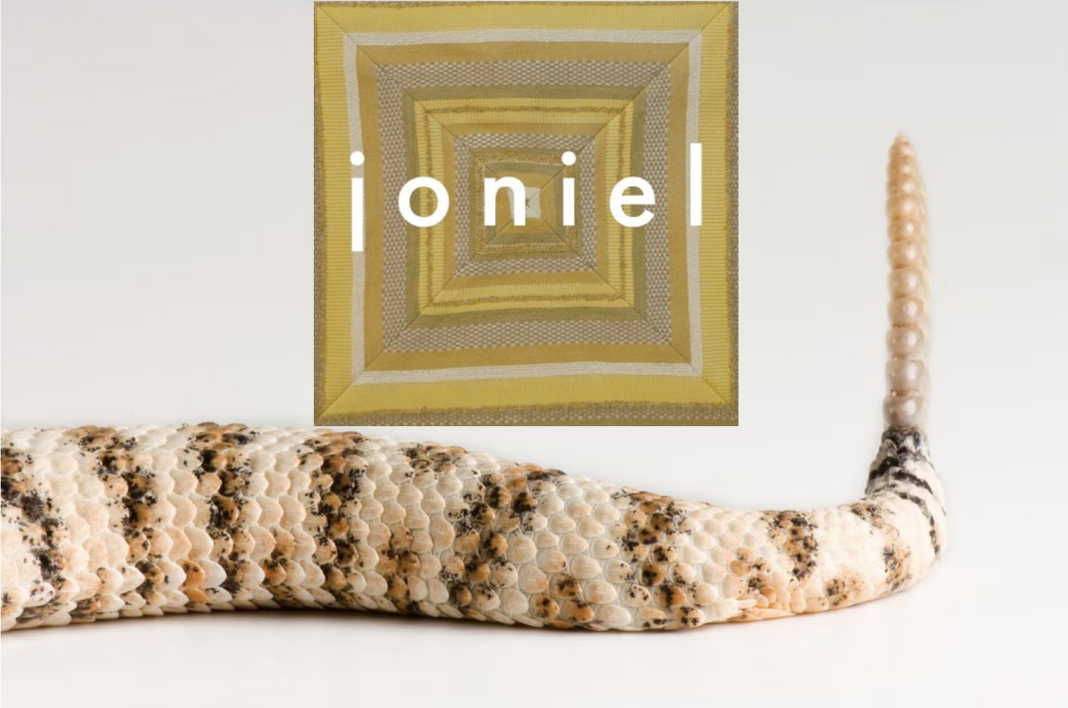 j o n i e l