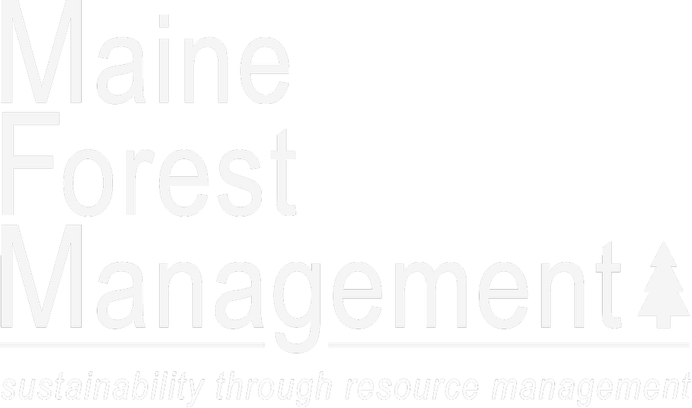 Maine Forest Management